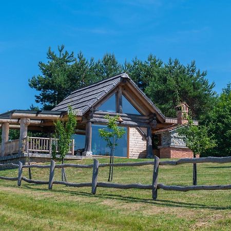 Holiday Home Ernest Zelezni With Hot Tub Ivancna Gorica ภายนอก รูปภาพ